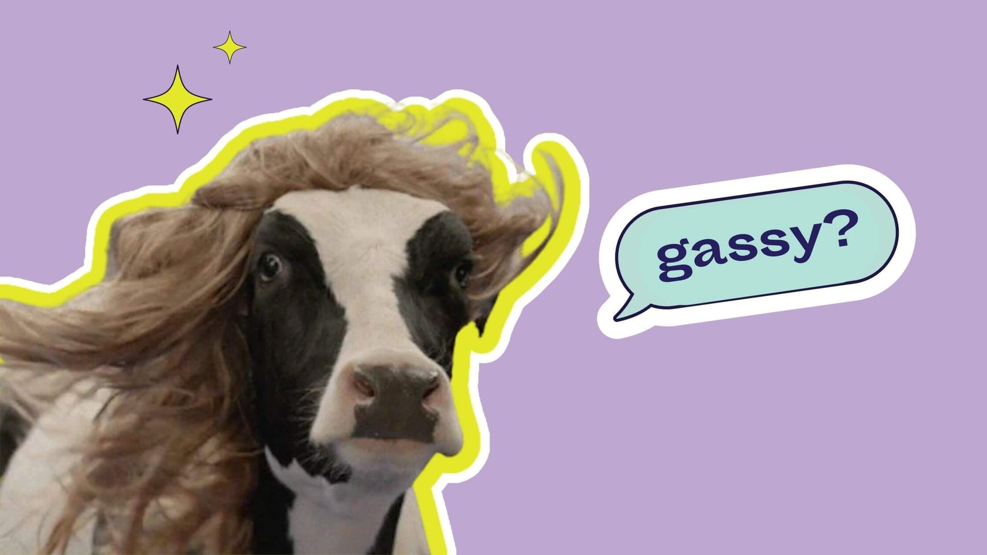Why Does Lactose Cause Bloating? Why does milk and cheese make me bloated