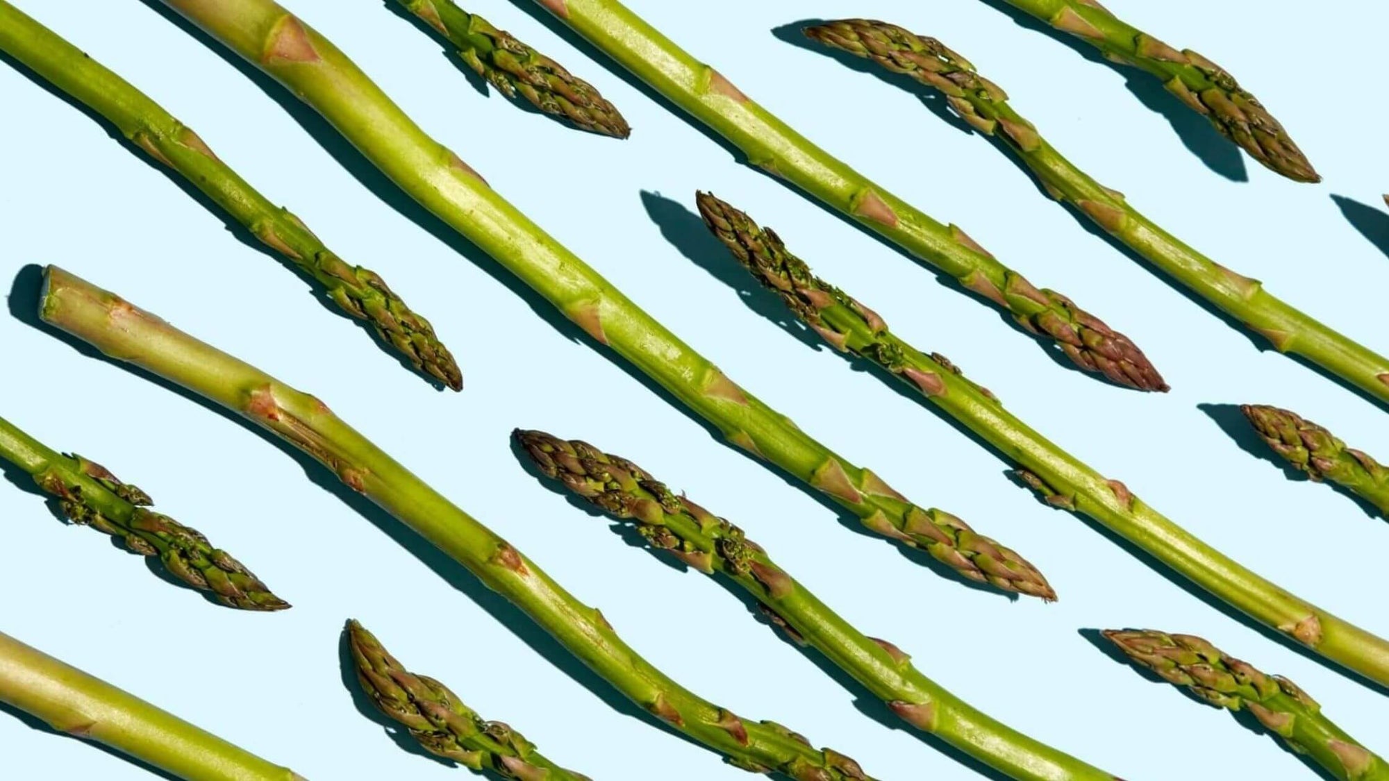 the best natural remedies for gas relief and bloating