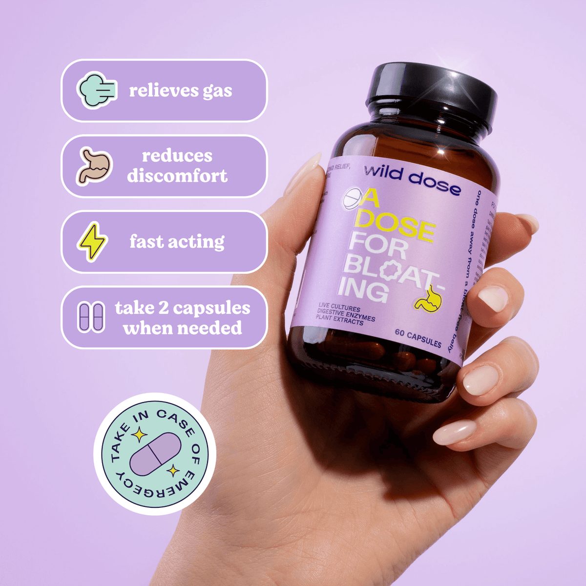 Exclusive Bloat Bundle (Save 30%)